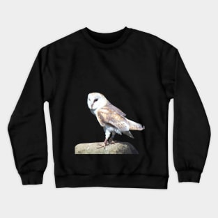 Barn Owl on a Rock Crewneck Sweatshirt